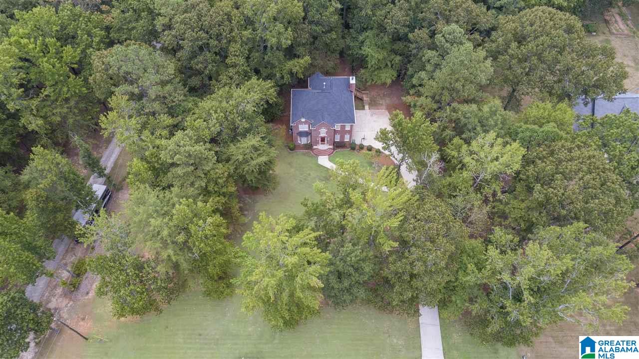 137 Chestnut Drive Alabaster, AL 35007 - Photo 34 of 35