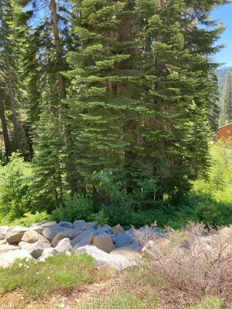 $84,000 | 230 Norton Meadows Road, Bucks Lake, CA 95971