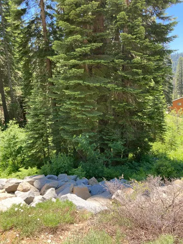 $84,000 | 230 Norton Meadows Road, Bucks Lake, CA 95971