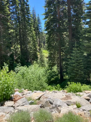 $84,000 | 230 Norton Meadows Road, Bucks Lake, CA 95971