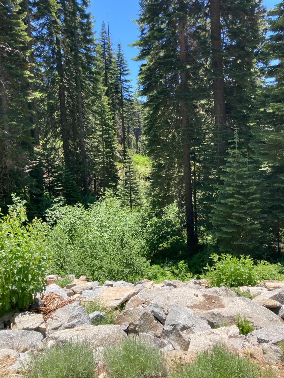 230 Norton Meadows Road Bucks Lake, CA 95971 - Photo 2 of 2