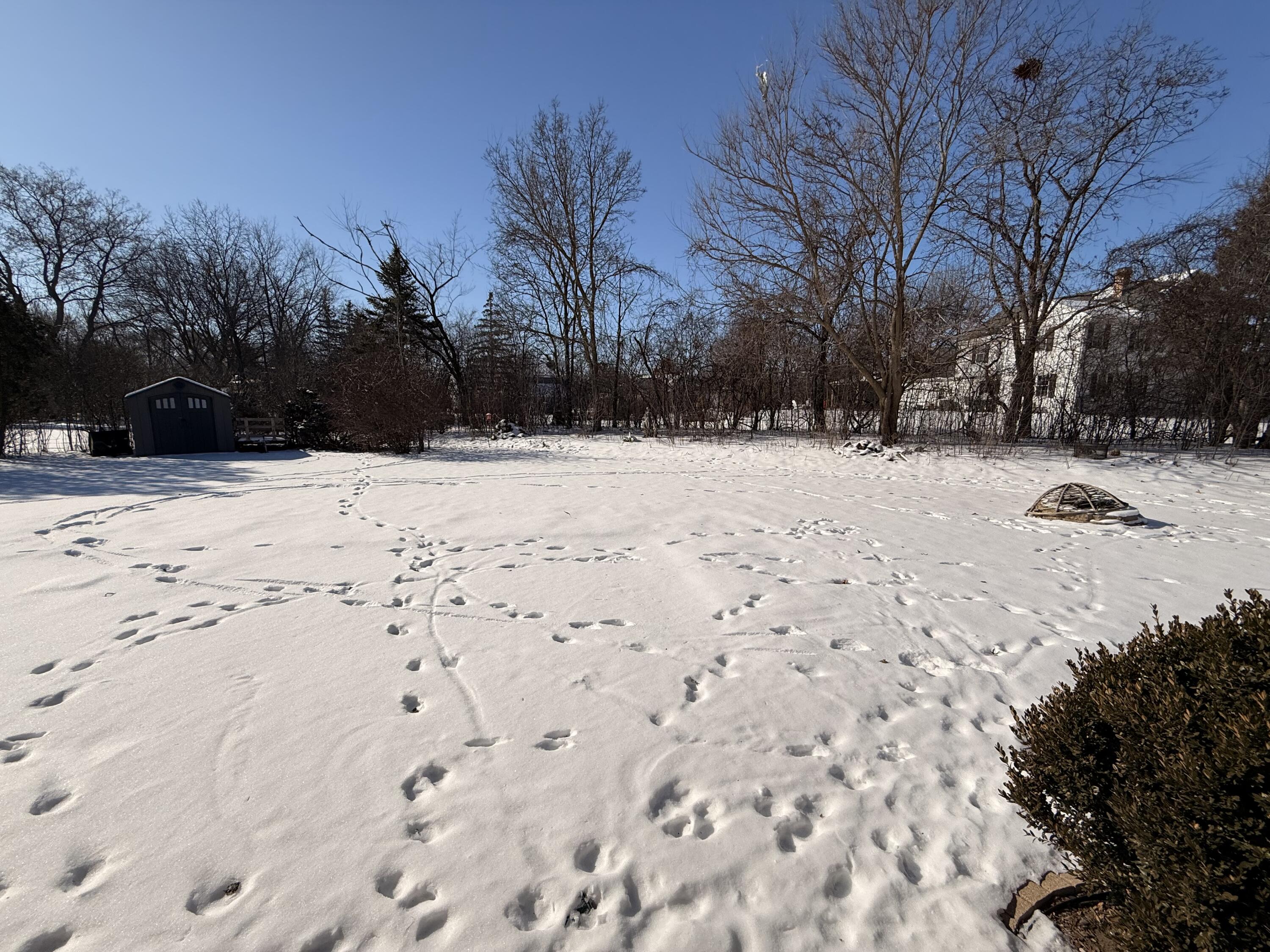 S85W19635 Colonial Court Muskego, WI 53150 - Photo 17 of 19 Backyard