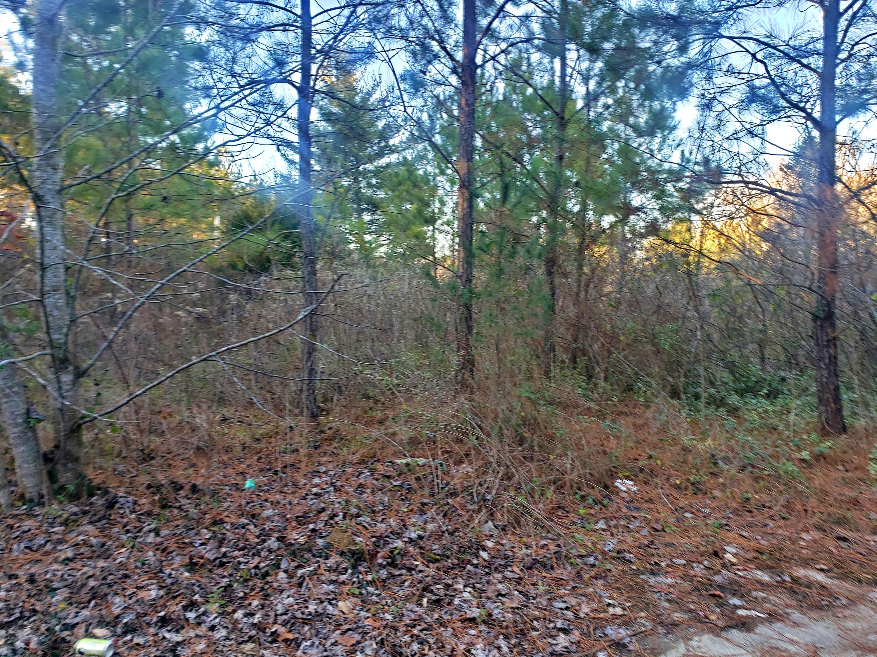 7906 Old Highway 68 Decatur, TN 37322 - Photo 2 of 13 20210123_164831