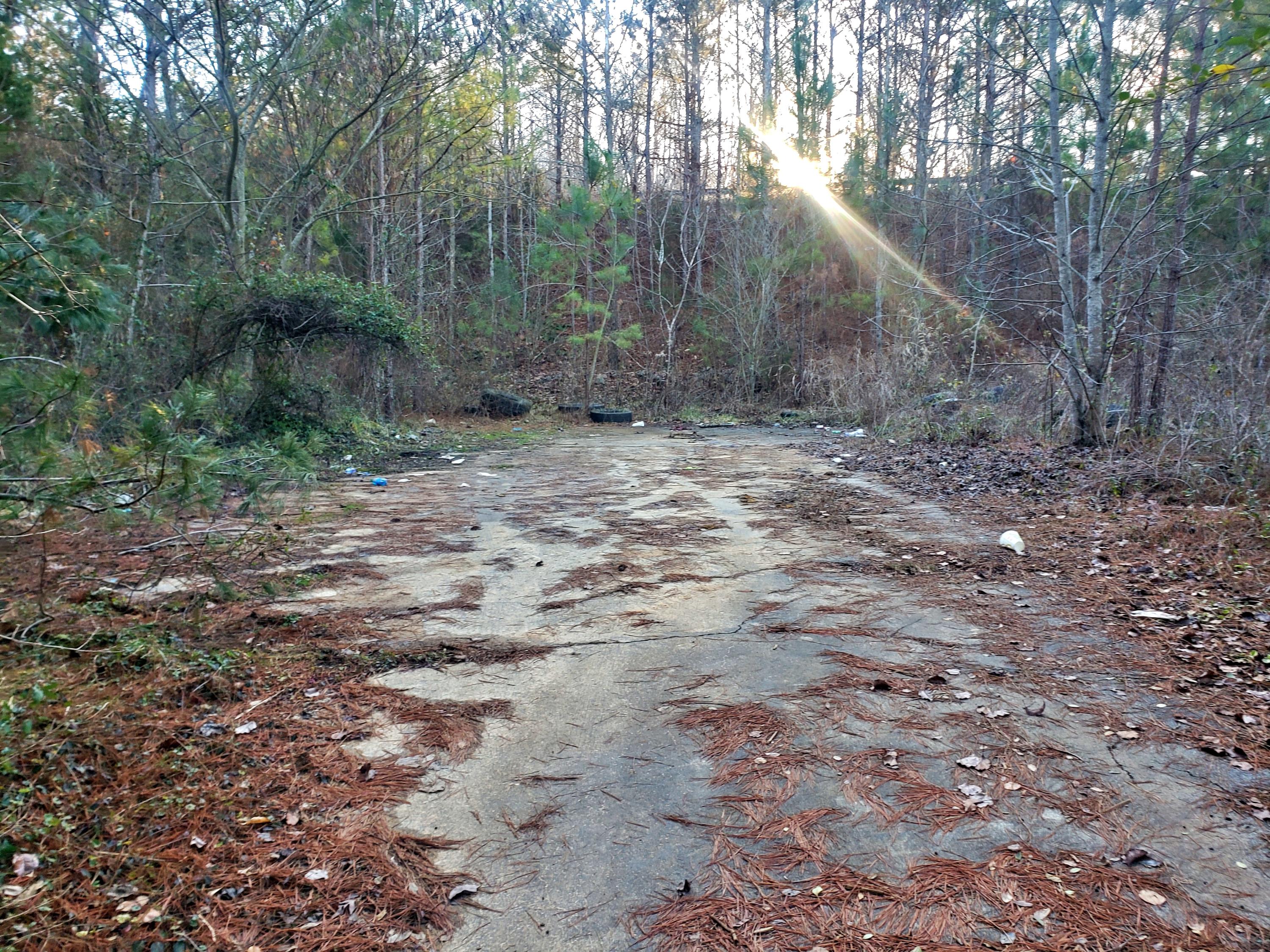 7906 Old Highway 68 Decatur, TN 37322 - Photo 3 of 13 20210123_164818
