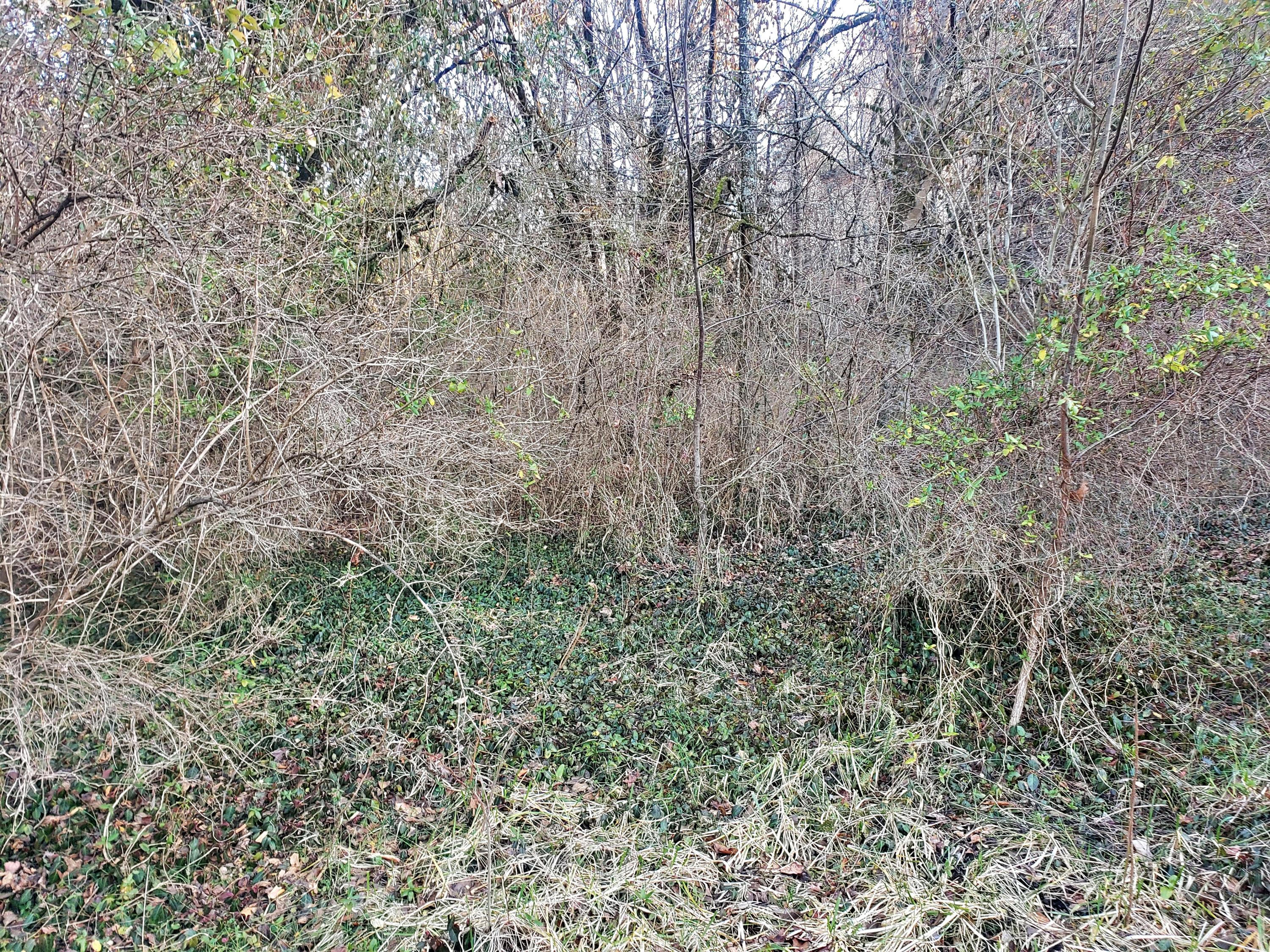 7906 Old Highway 68 Decatur, TN 37322 - Photo 7 of 13 20210123_164740