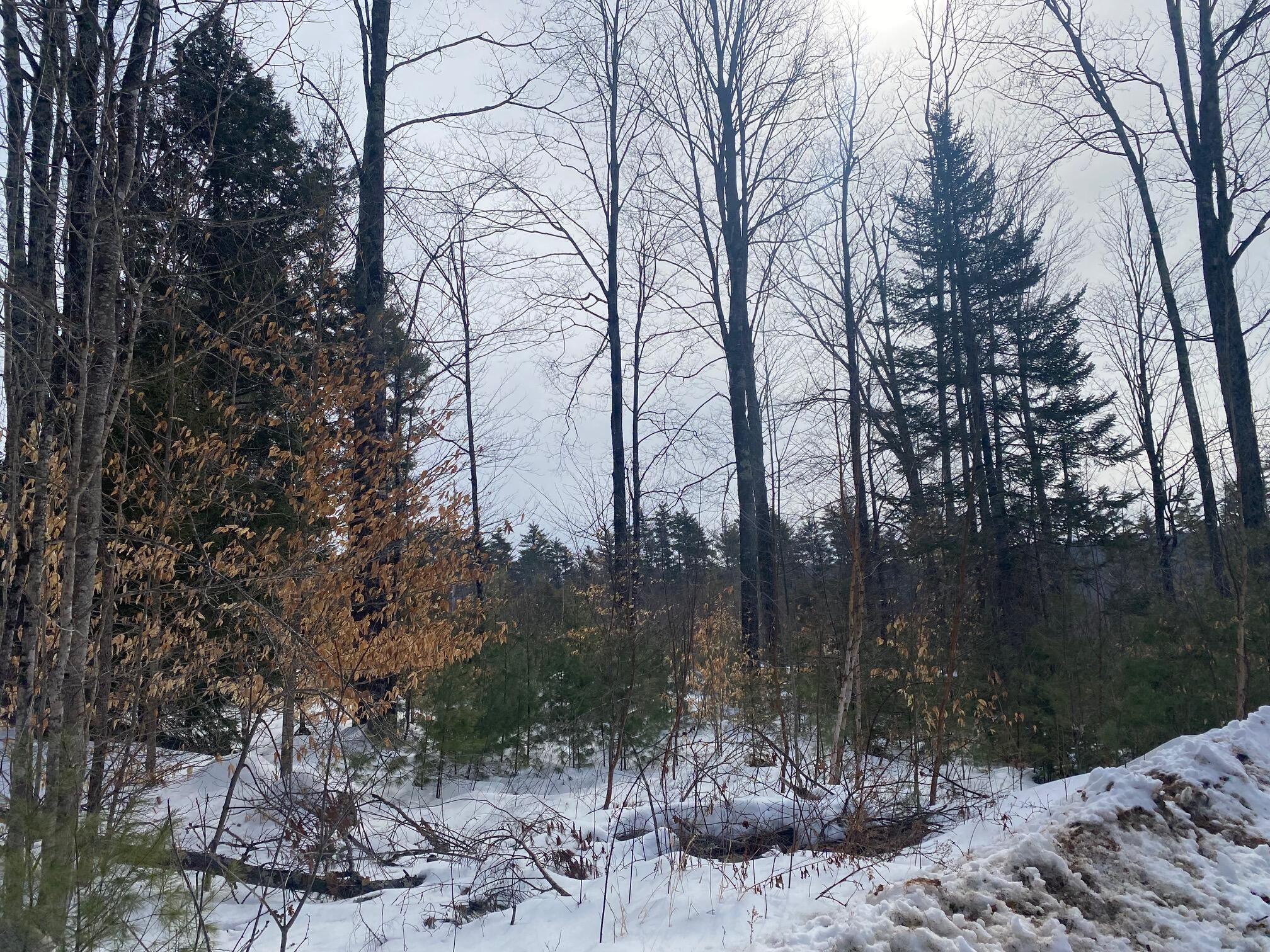 Lot 2 Chase Road Parsonsfield, ME 04047 - Photo 6 of 14 IMG_8466