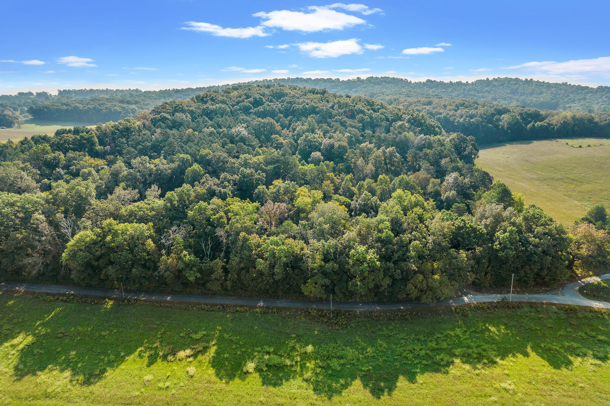 1560 Bales Road Mosheim, TN 37818 - Photo 3 of 35 Iron Bridge 1