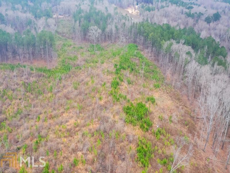 0 Doc Perry Road, Unit TRACT 2 Newnan, GA 30263 - Photo 1 of 1