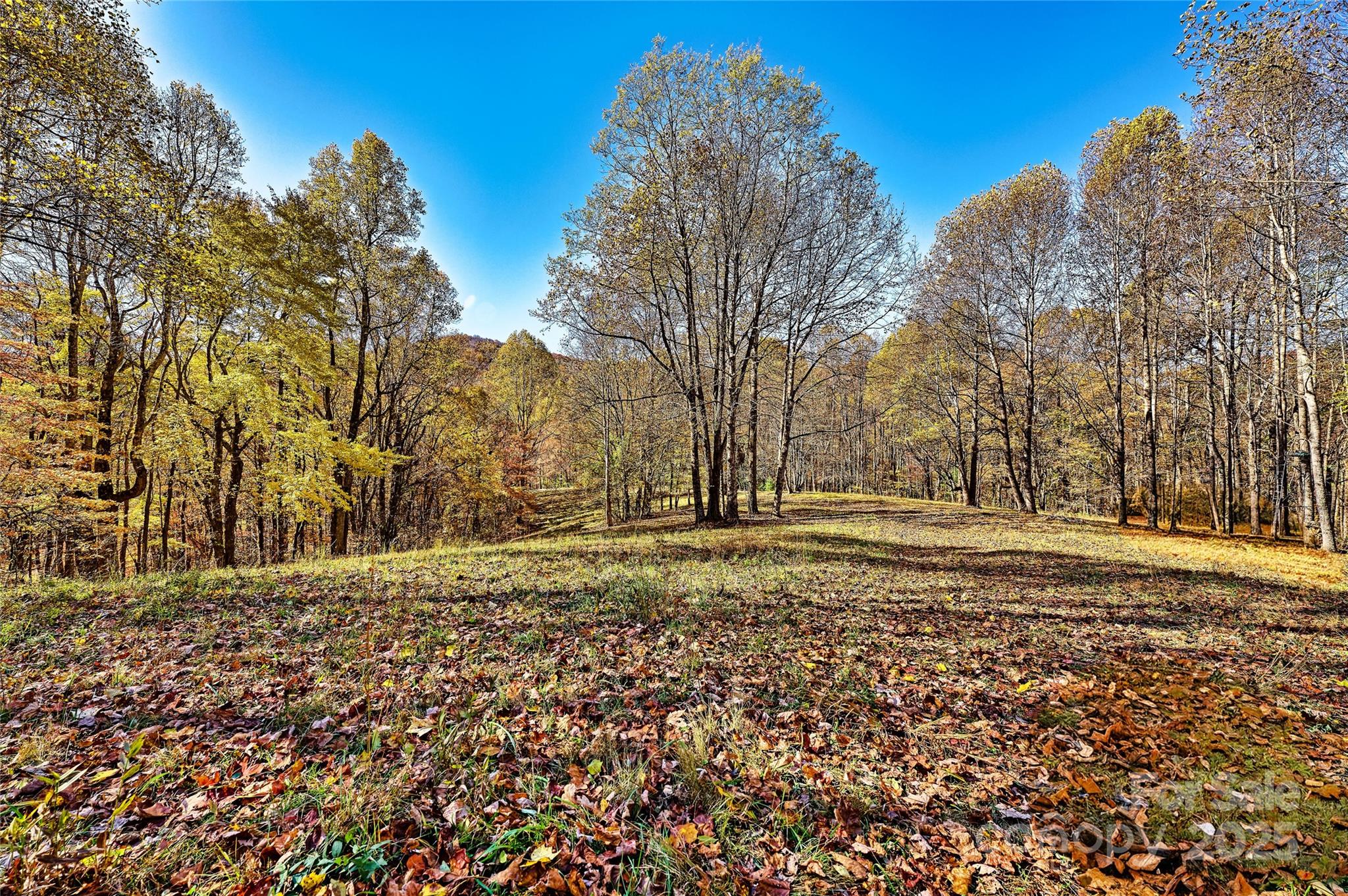 2626 Dendy Orchard Road Highlands, NC 28741 - Photo 13 of 33 a view of a yard with large trees