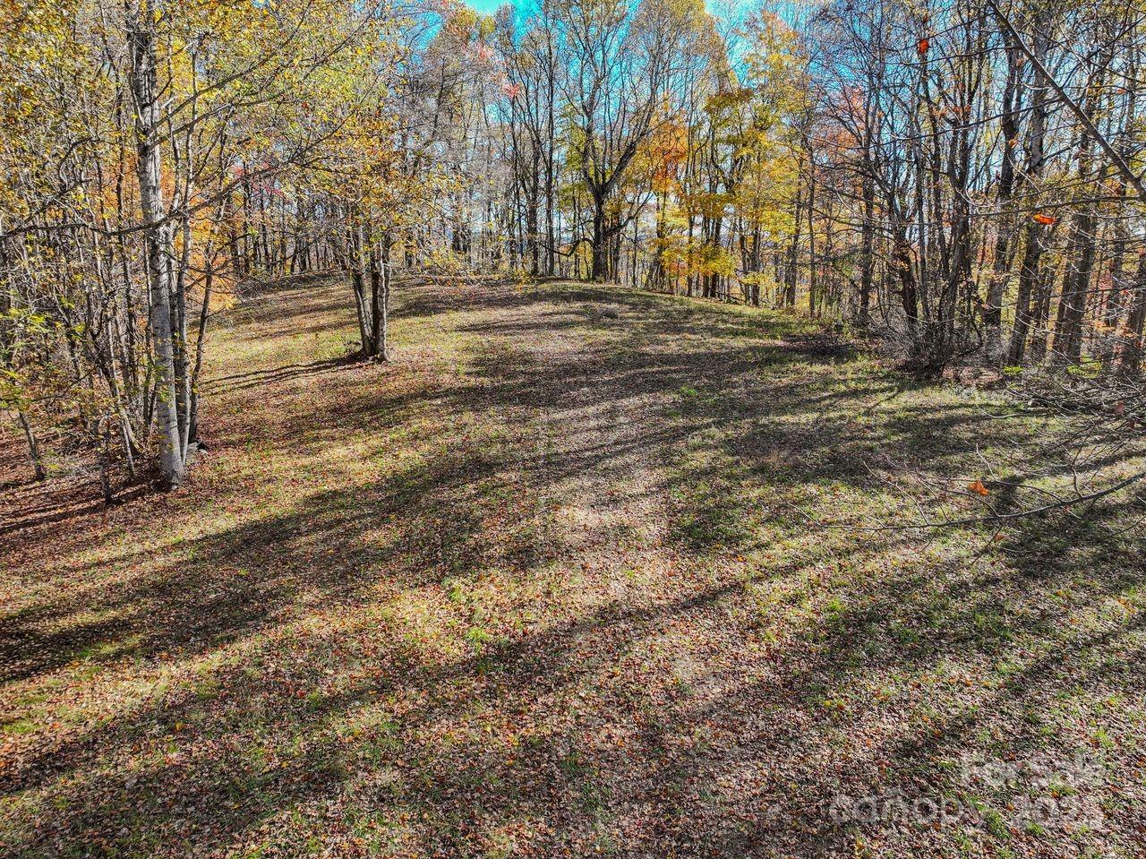2626 Dendy Orchard Road Highlands, NC 28741 - Photo 14 of 33 a view of road and trees