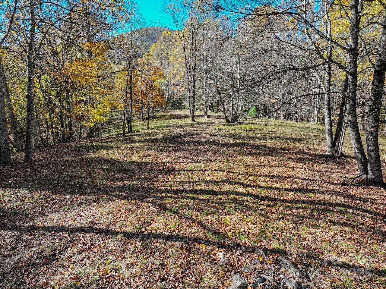 2626 Dendy Orchard Road Highlands, NC 28741 - Photo 15 of 33 a view of road with large trees