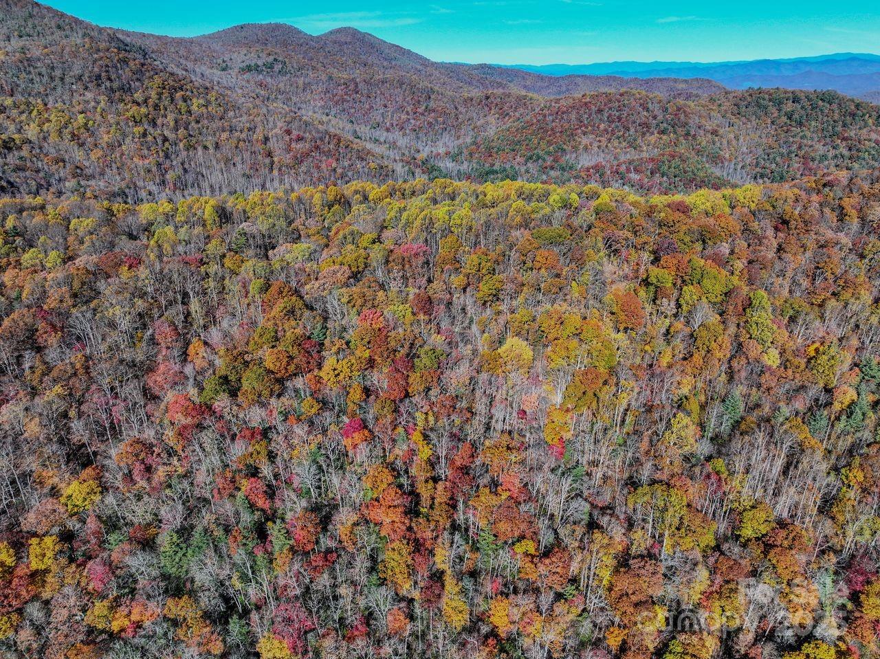 2626 Dendy Orchard Road Highlands, NC 28741 - Photo 19 of 33 a view of a pathway with a yard