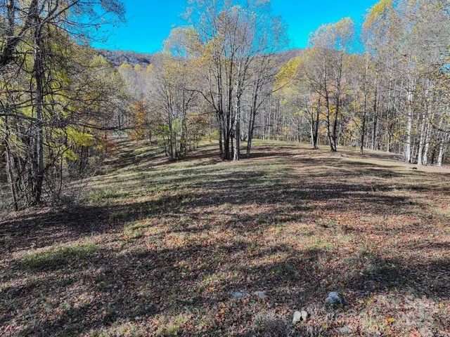a view of a yard with a garden