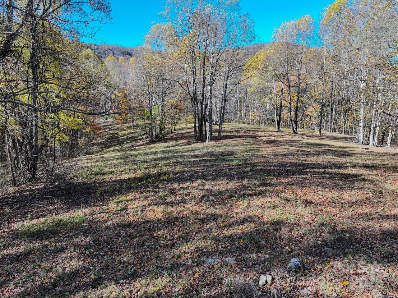 2626 Dendy Orchard Road Highlands, NC 28741 - Photo 21 of 33 a view of a yard with a trees