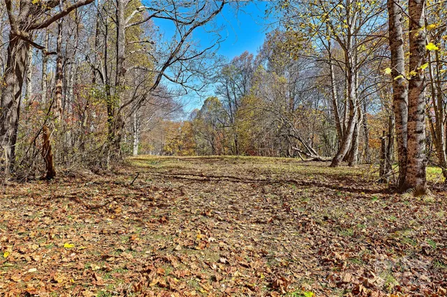 a view of dirt yard with a large tree