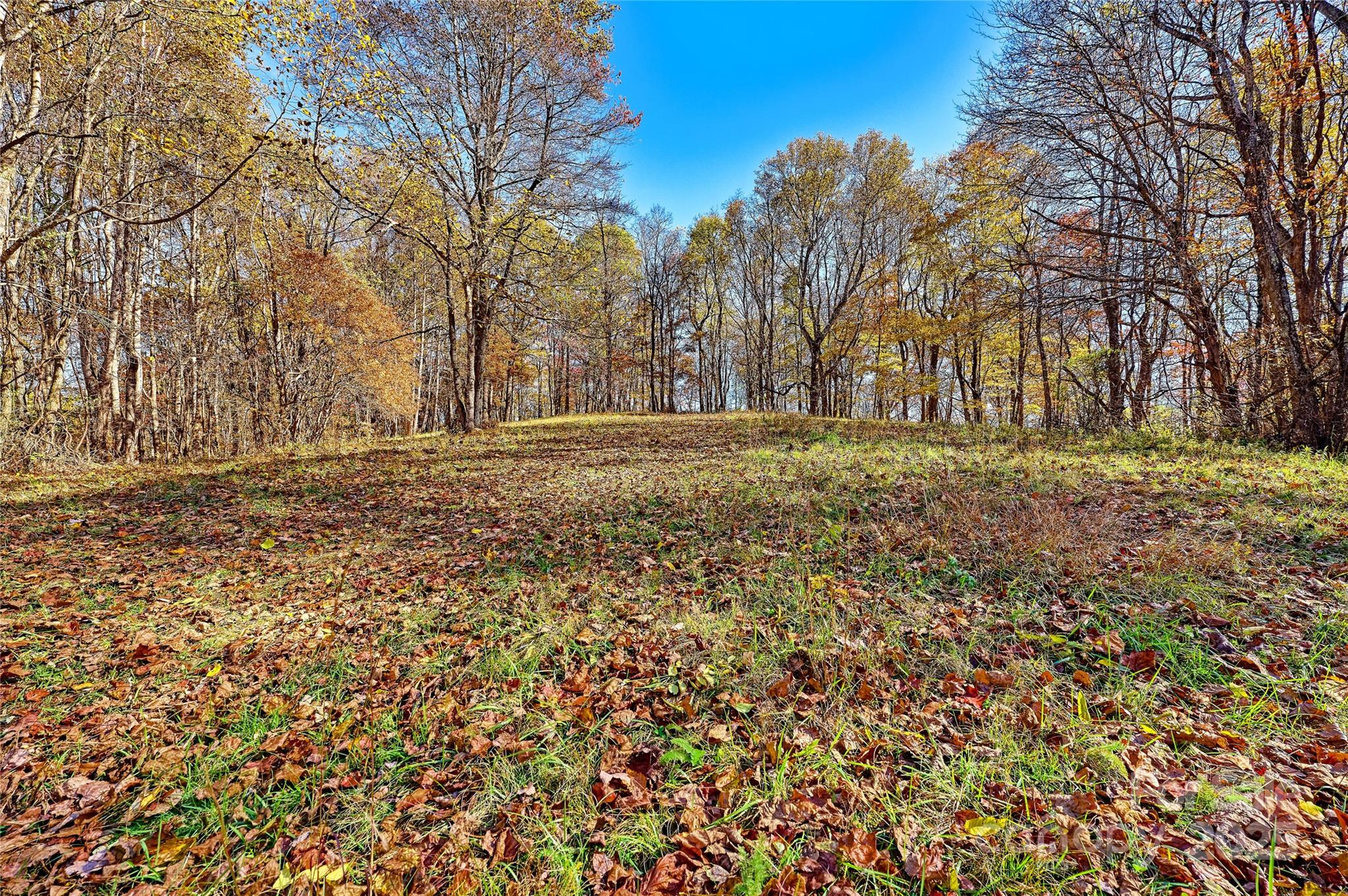 2626 Dendy Orchard Road Highlands, NC 28741 - Photo 10 of 33 a big yard with trees