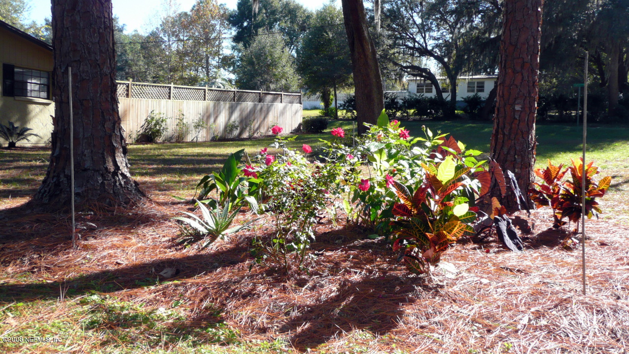 8193 Carl Brook Road Keystone Heights, FL 32656 - Photo 18 of 20 FRONT YARD