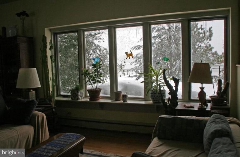 8716 Bozman Neavitt Road St. Michaels, MD 21663 - Photo 3 of 25 Living Room, winter scene
