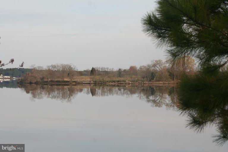 8716 Bozman Neavitt Road St. Michaels, MD 21663 - Photo 22 of 25 Peaceful views all around