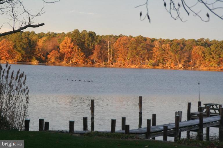 8716 Bozman Neavitt Road St. Michaels, MD 21663 - Photo 23 of 25 Geese gathering in early fall