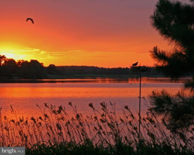 8716 Bozman Neavitt Road St. Michaels, MD 21663 - Photo 24 of 25 Ospreys settle at sunset