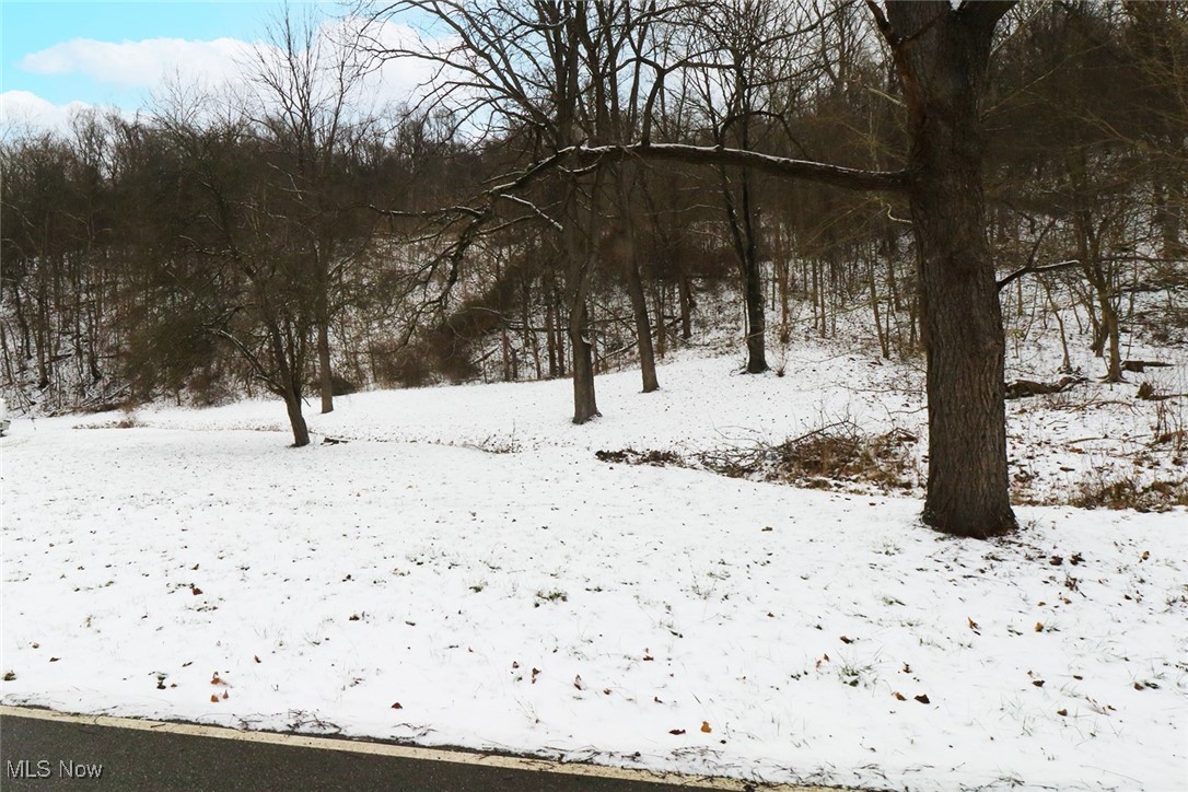 0 Deep Run Road Martins Ferry, OH 43935 - Photo 3 of 4 Gallery Image 3