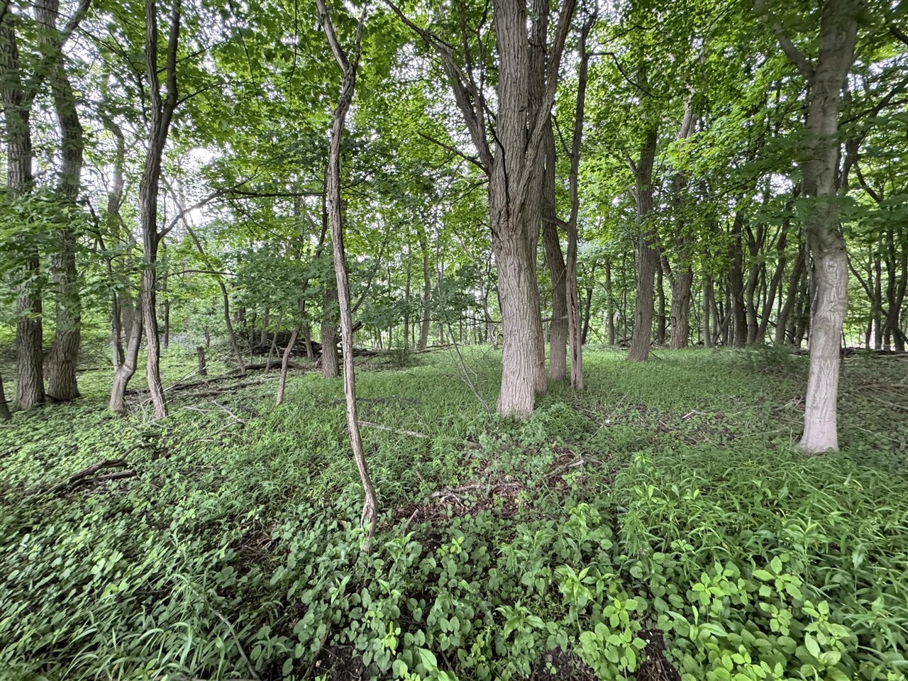Tract #34 South Tract Drive Manistee, MI 49660 - Photo 11 of 15