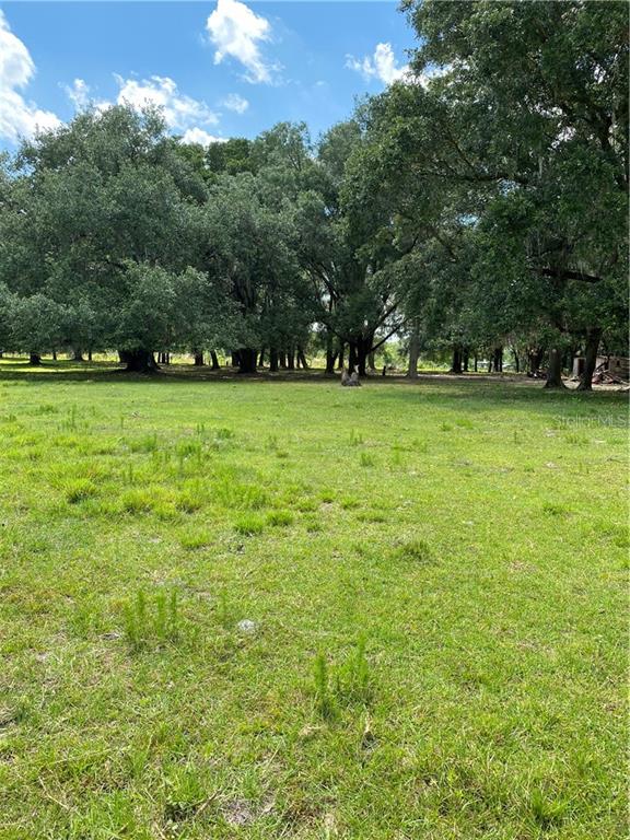 Stephens Road Groveland, FL 34736 - Photo 1 of 1 Gallery Image 1