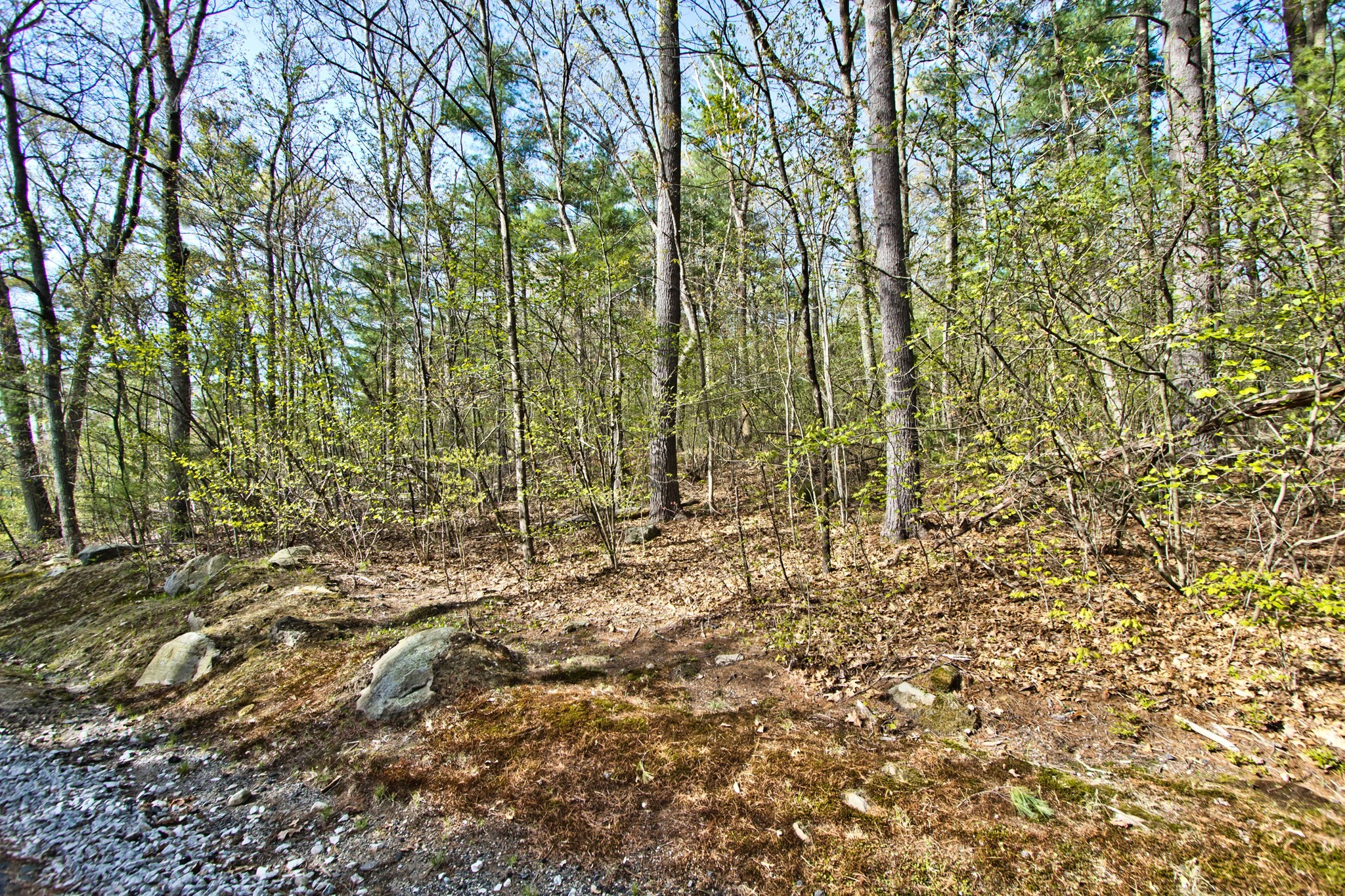 Lot A Kiwanis Beach Road Upton, MA 01568 - Photo 4 of 10 Gallery Image 4