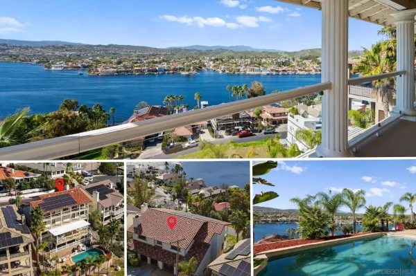 a view of a yard with plants and palm trees