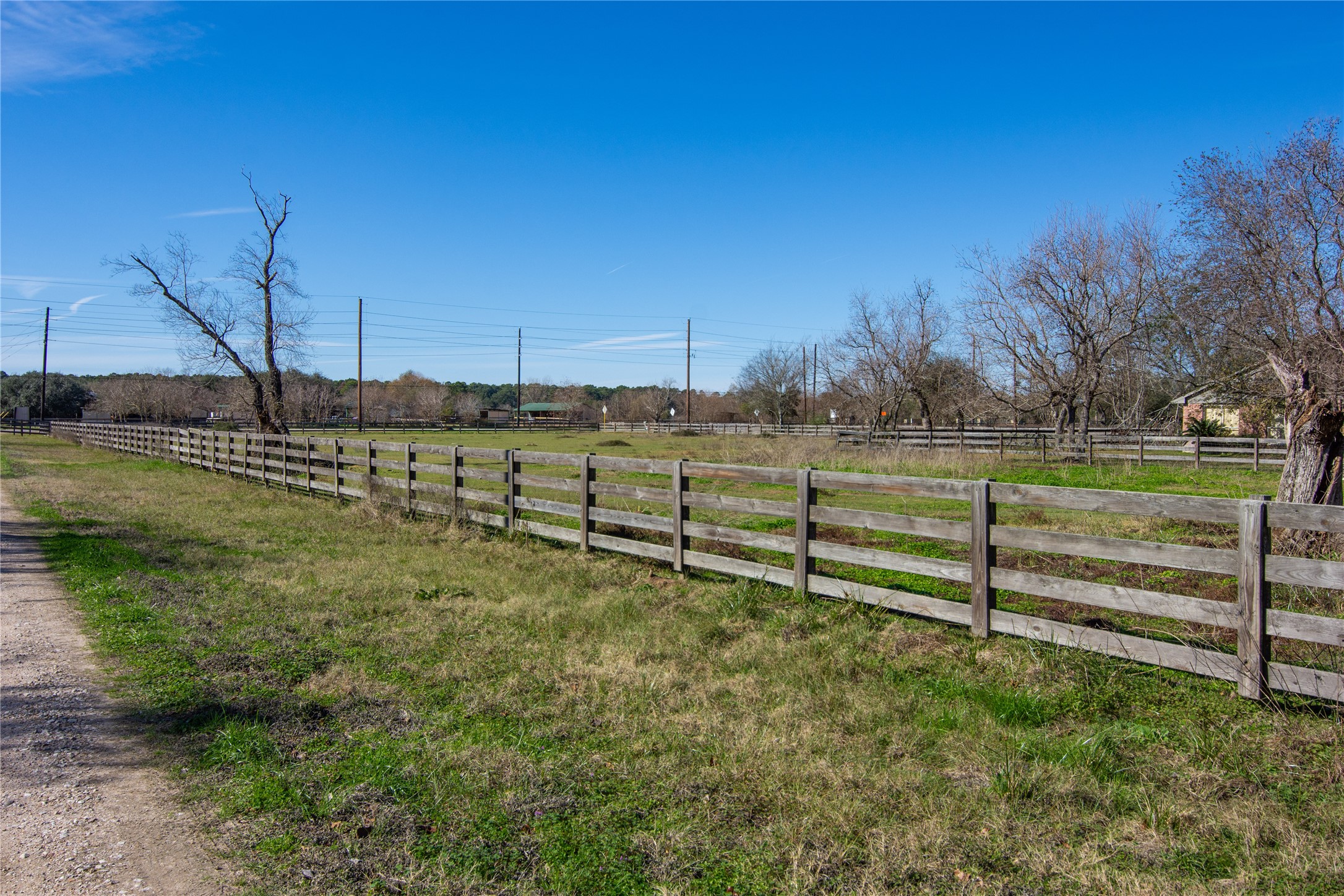 21610 Mueschke Road Tomball, TX 77377 - Photo 15 of 19 Property looking towards Mueschke