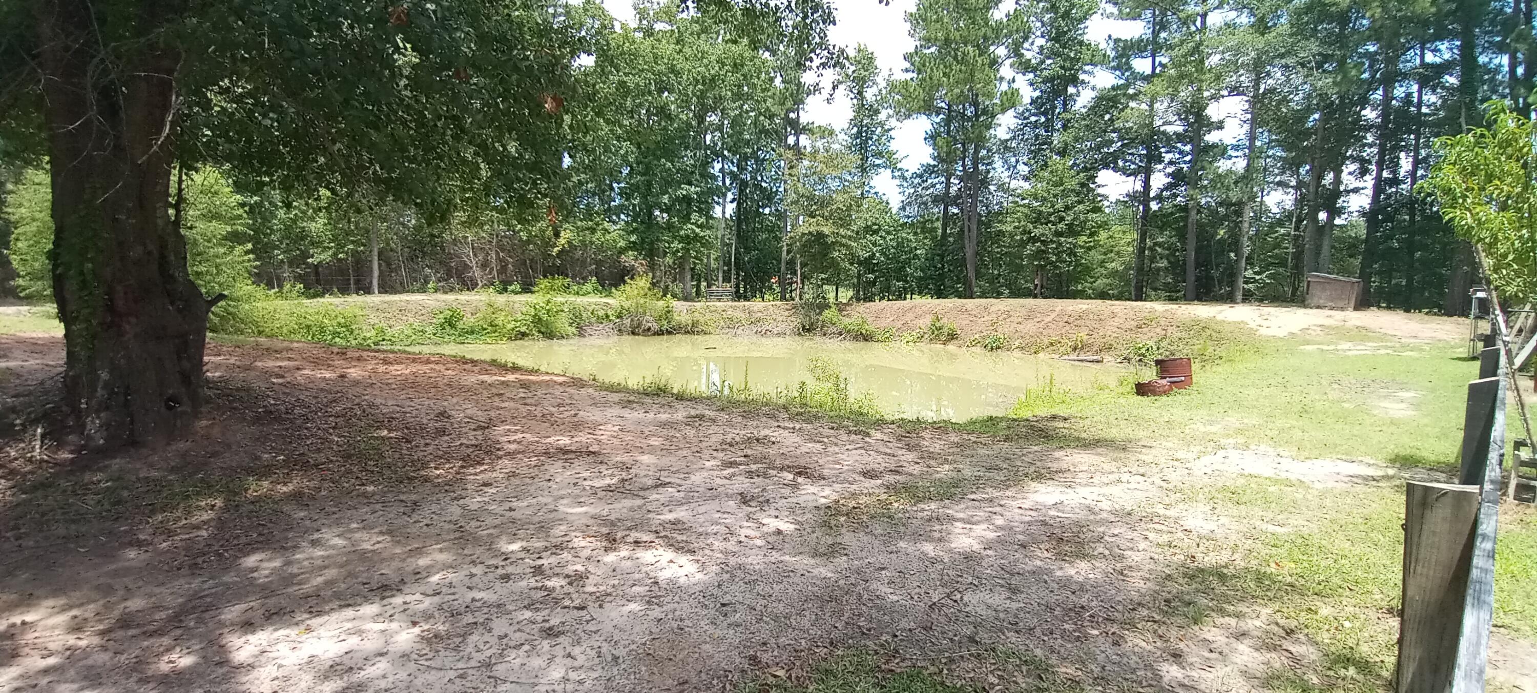 1619 Short Cut Road Cross, SC 29436 - Photo 12 of 52 20210712_121818