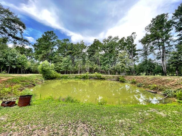 1619 Short Cut Road Cross, SC 29436 - Photo 31 of 52 IMG_6495
