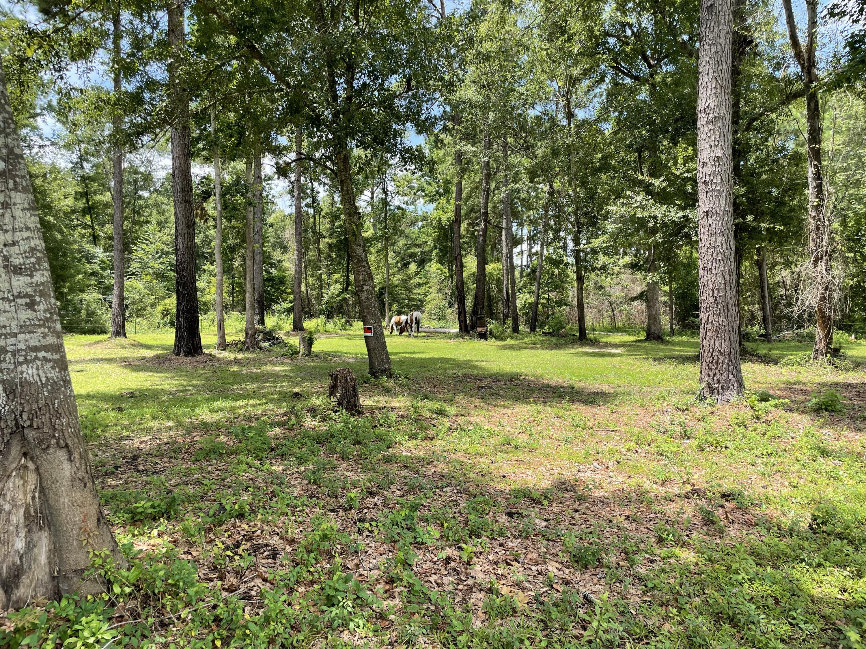 1619 Short Cut Road Cross, SC 29436 - Photo 38 of 52 IMG_6506