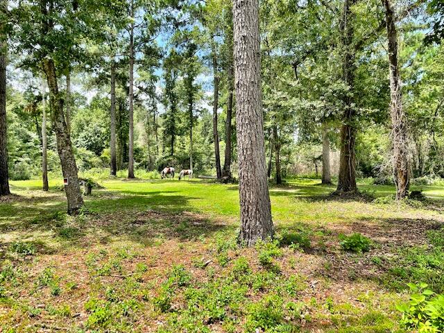 1619 Short Cut Road Cross, SC 29436 - Photo 39 of 52 IMG_6500