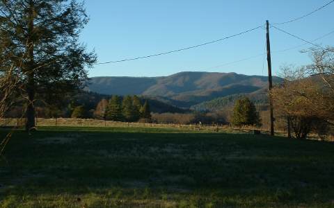 278 Riverside Drive, Unit A Hayesville, NC 28904 - Photo 2 of 5 a view of a field with a tree