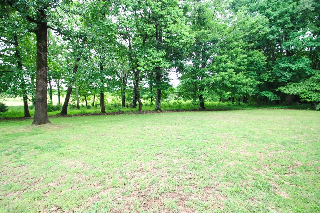 541 Toy Slatten Road Sparta, TN 38583 - Photo 10 of 34