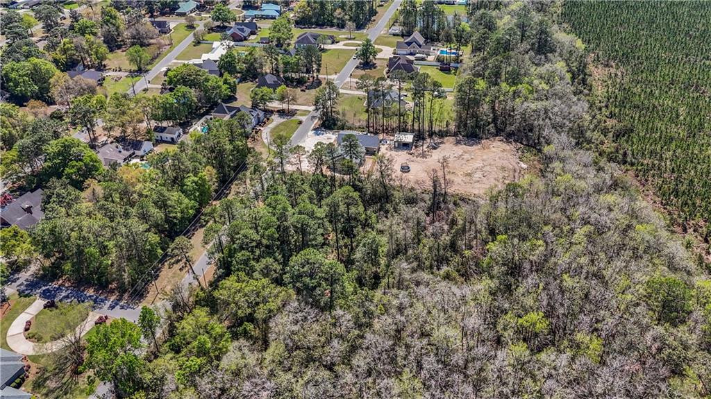 0 Littlefield Street Jesup, GA 31546 - Photo 5 of 5