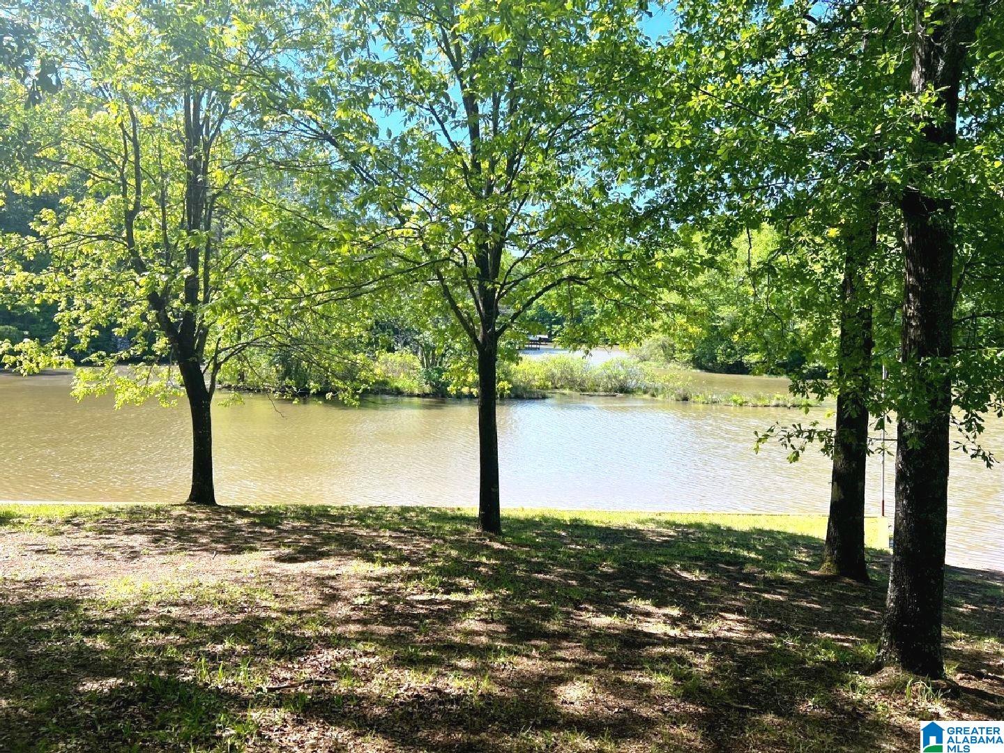 244 County Road 2011 Delta, AL 36258 - Photo 12 of 29