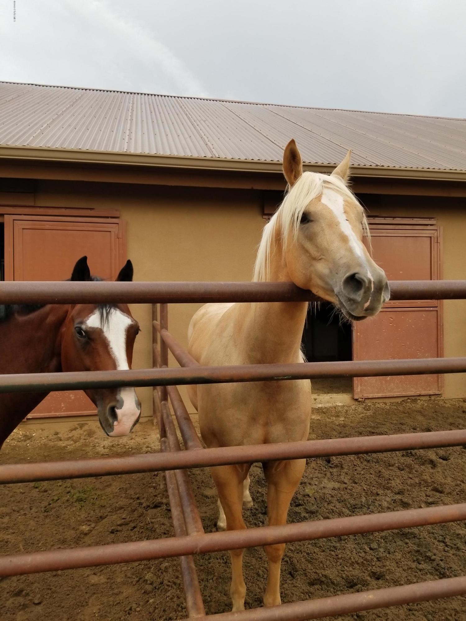 9705 North Equine Road Prescott, AZ 86305 - Photo 7 of 11 20180720_190654 (1)