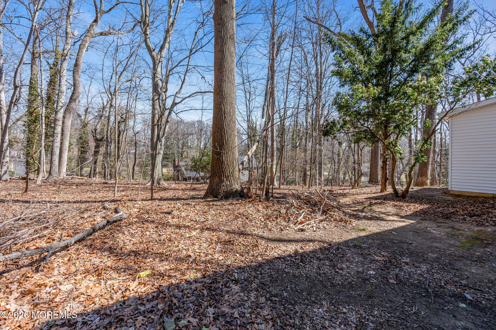 58 Fish Hawk Drive Middletown, NJ 07748 - Photo 26 of 33 a backyard of a house with trees