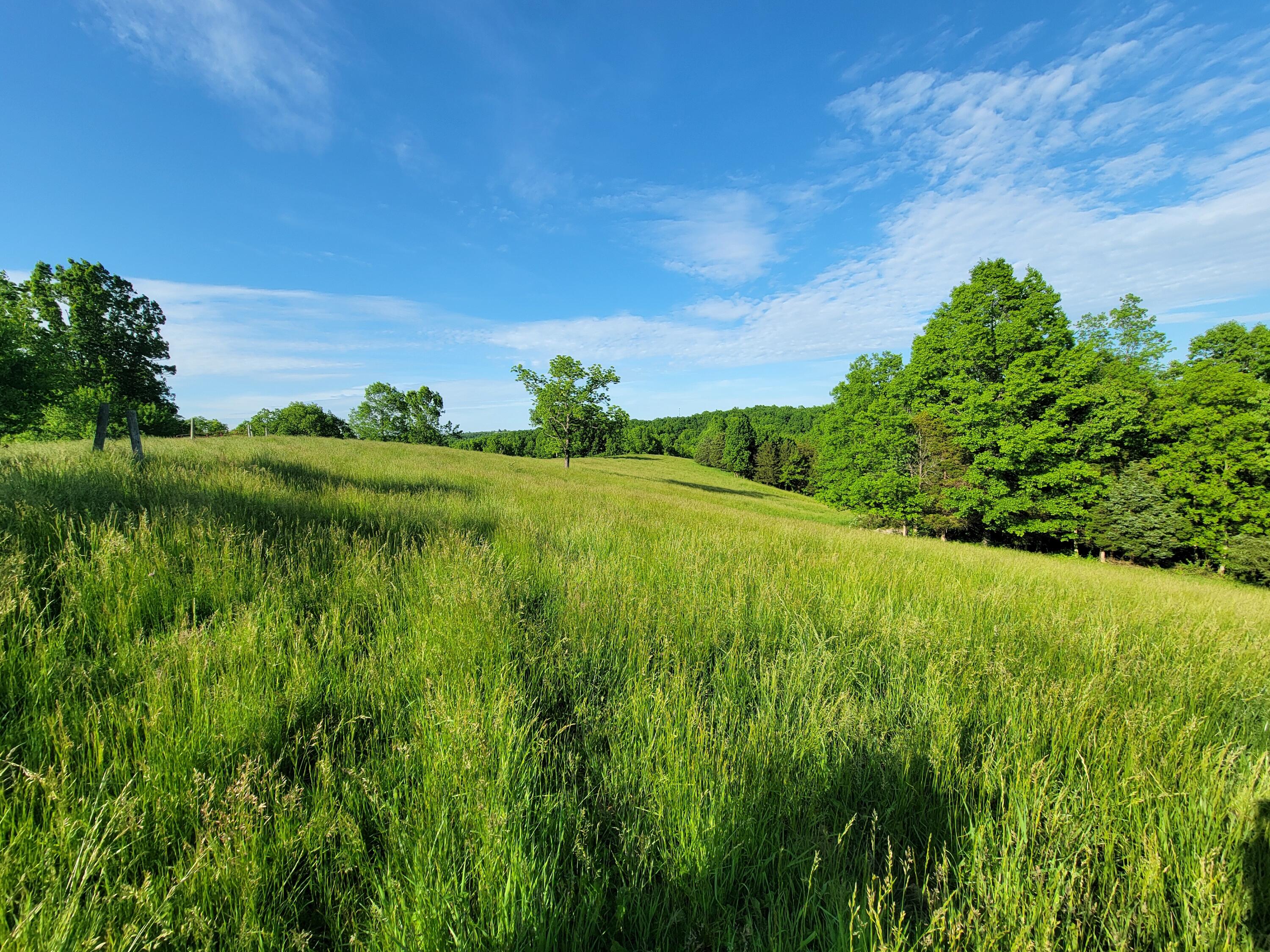 119-acres Keefer Road Corinth, KY 41010 - Photo 13 of 44 Gallery Image 13