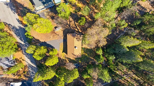 a picture of flowers