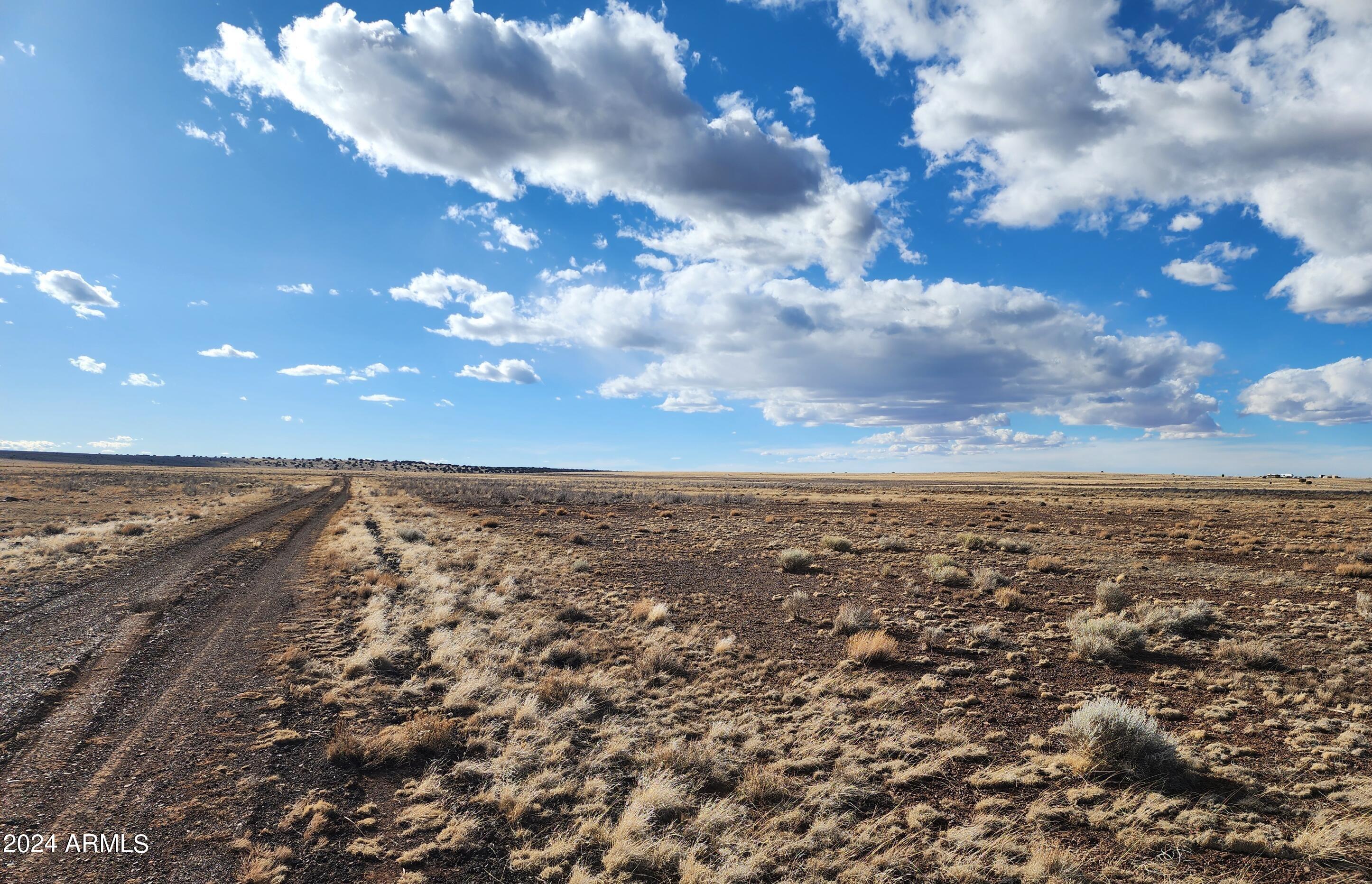 53 County Road Show Low, AZ 85901 - Photo 6 of 10 53 County Rd N3495