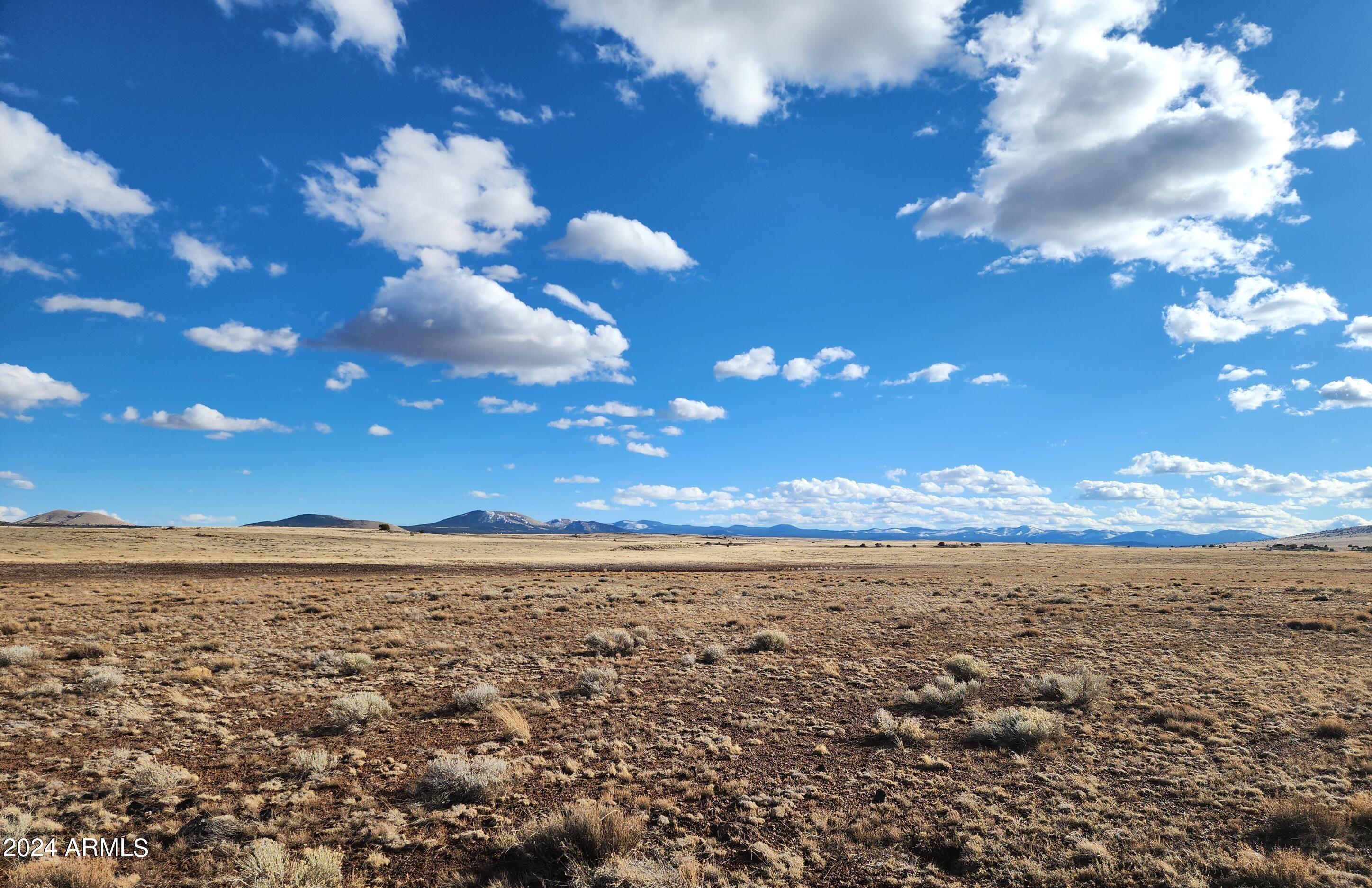 53 County Road Show Low, AZ 85901 - Photo 8 of 10 53 County Rd N3495