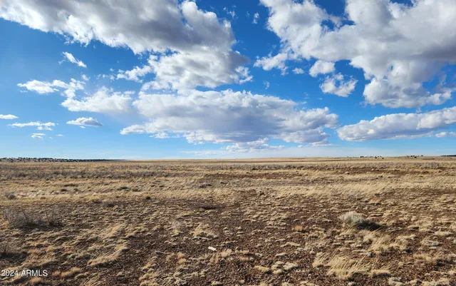 $11,997 | 53 County Road, Show Low, AZ 85901