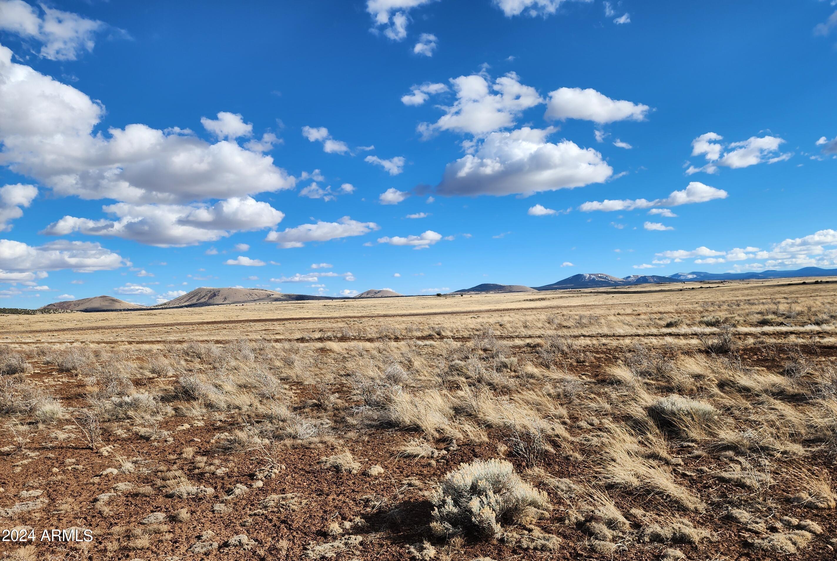 53 County Road Show Low, AZ 85901 - Photo 10 of 10 53 County Rd N3495