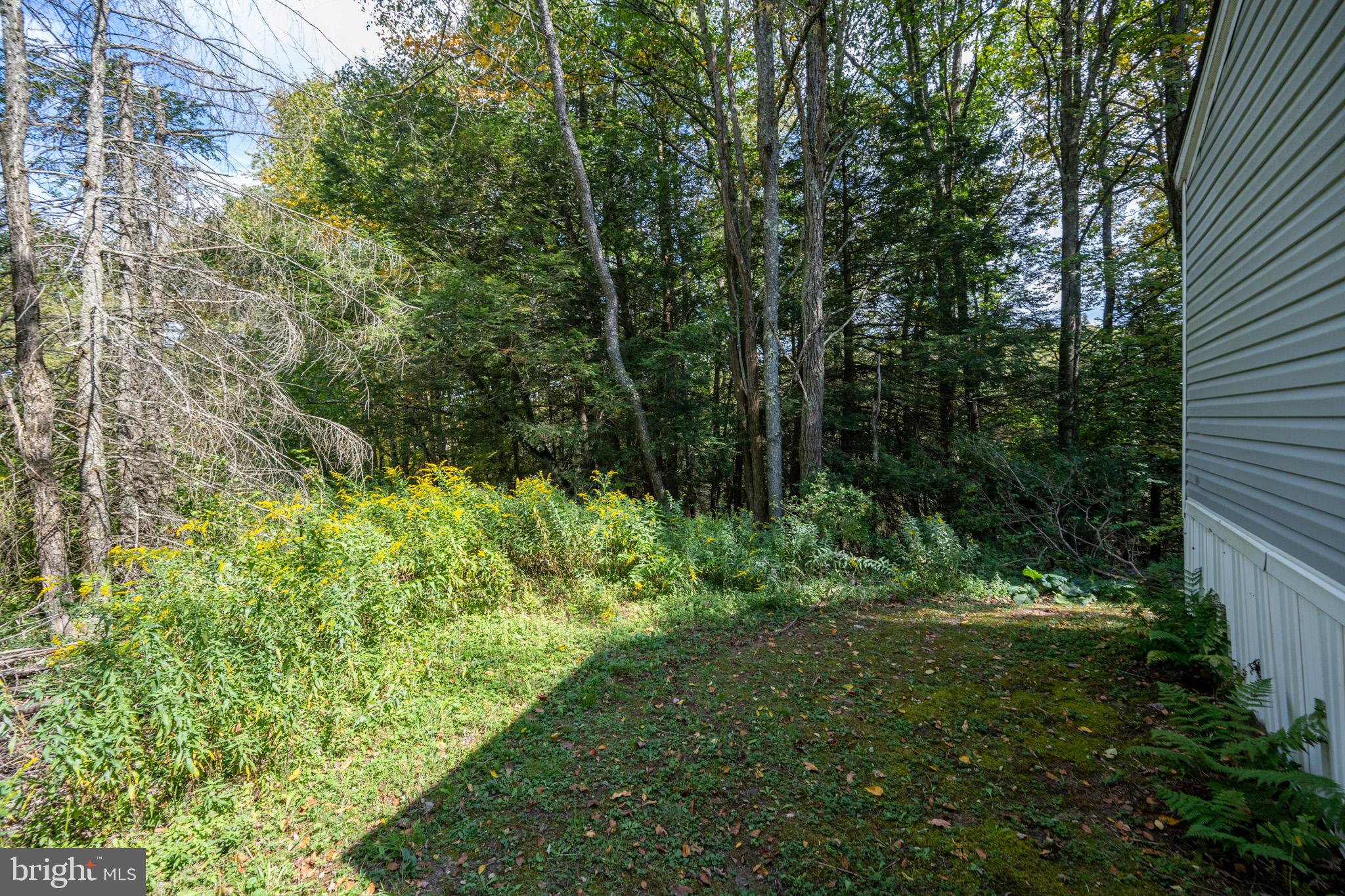 6932 New Germany Road Grantsville, MD 21536 - Photo 16 of 31 Serene woodland retreat awaits your touch.