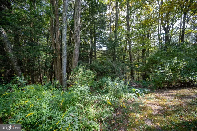 $159,000 | 6932 New Germany Road, Grantsville, MD 21536