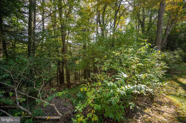 $159,000 | 6932 New Germany Road, Grantsville, MD 21536